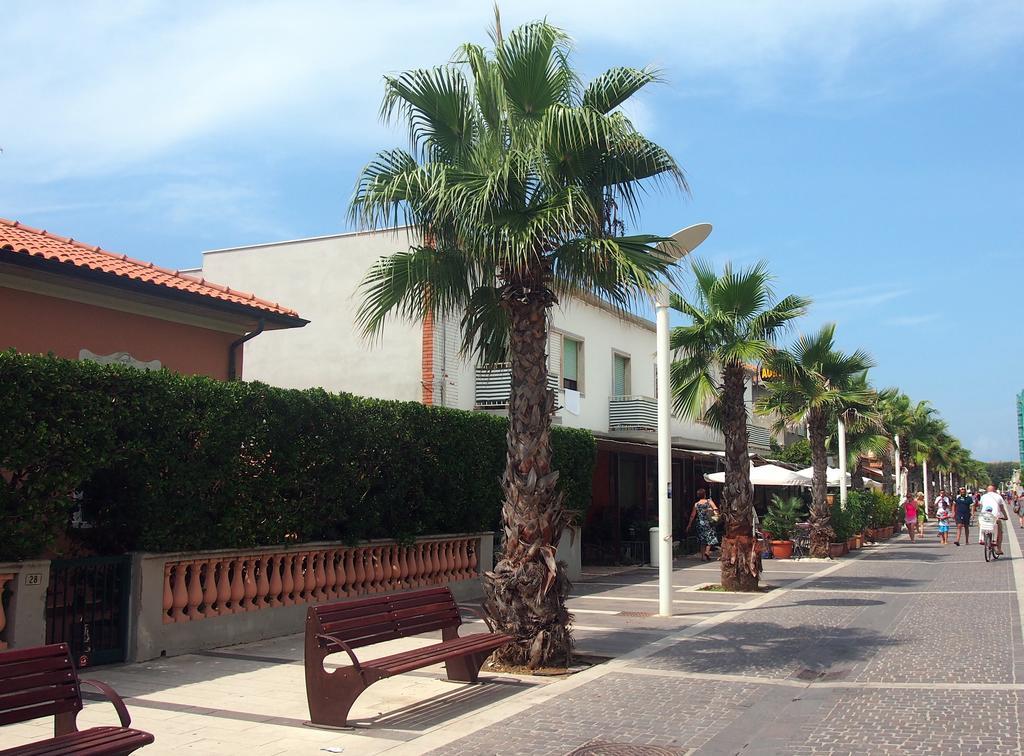 Hotel Aurora Marina di Cecina Eksteriør billede